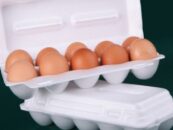 Минприроды планирует ограничить использование упаковки из полистирола для пищевых продуктов