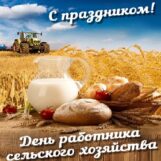 С днем работника сельского хозяйства!
